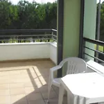 Belleview * Lagos