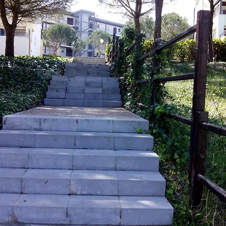 Belleview *