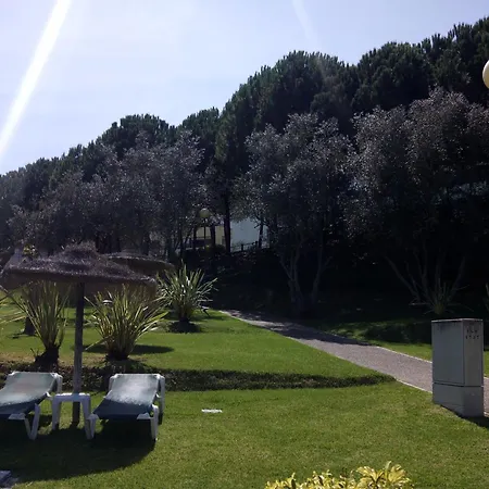 Belleview