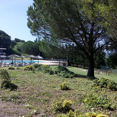 Belleview
