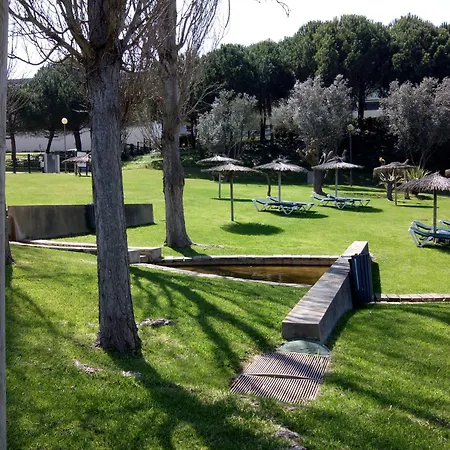 Belleview * Лагуш