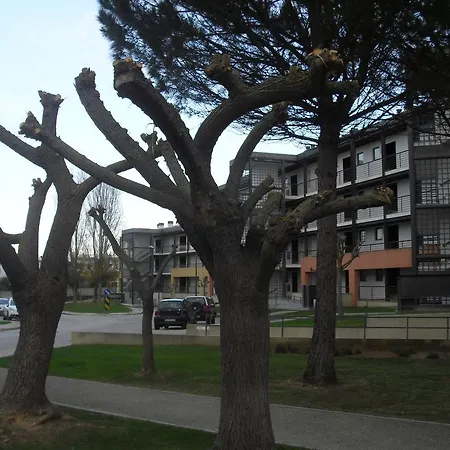 Belleview * 라고스