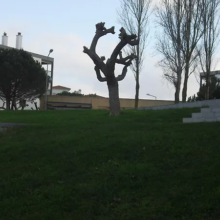 아파트 Belleview *