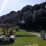 Belleview
